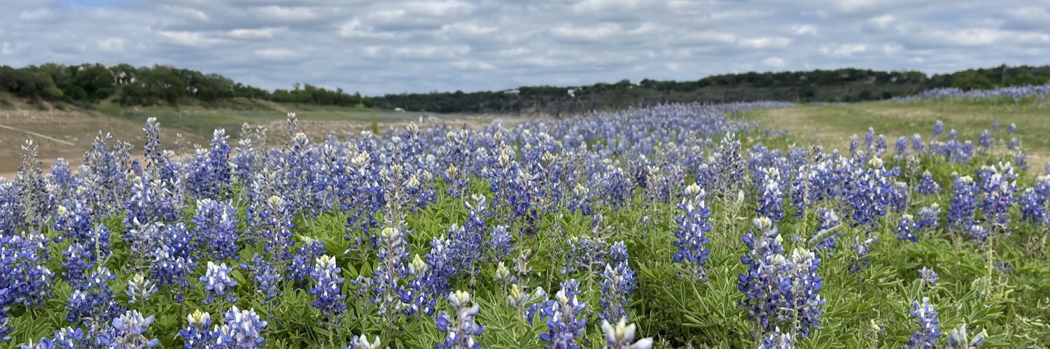 TraderLonghorn's profile banner image