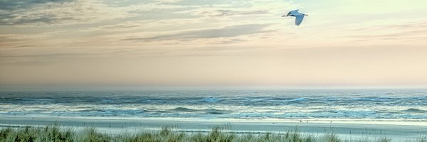 NOAADigCoast Profile Banner