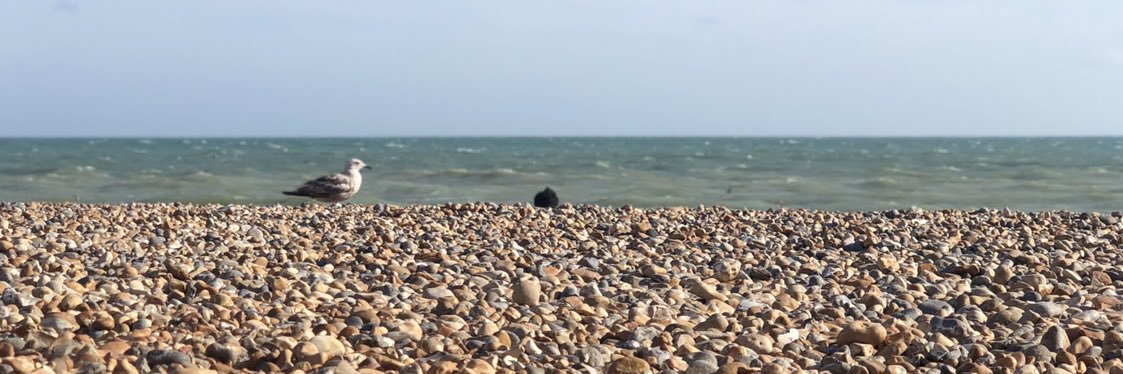 Luccxie's profile banner image