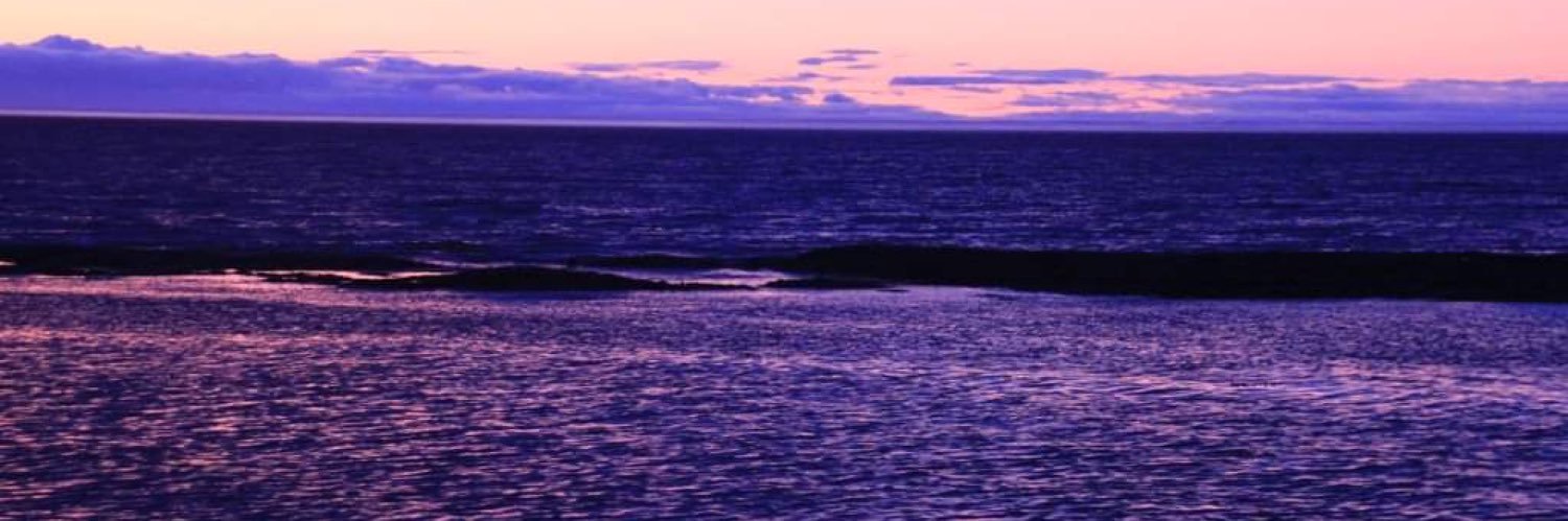 nancyfournier67's profile banner image