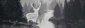 Mad2907 banner