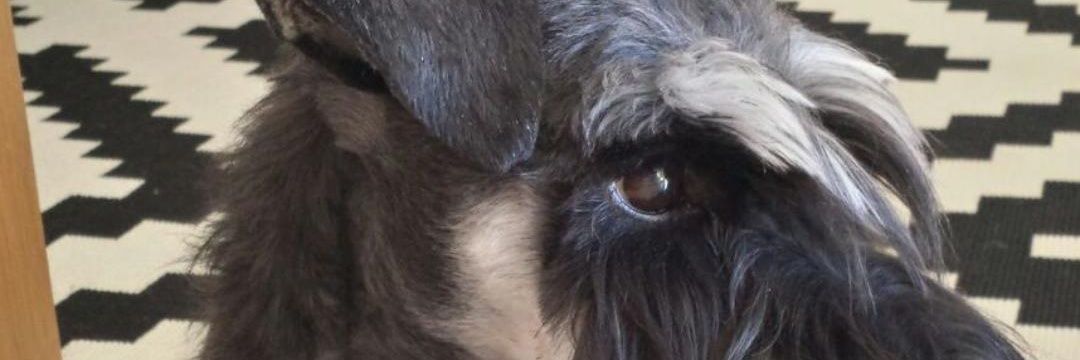 AGPIQUERAS_'s profile banner image