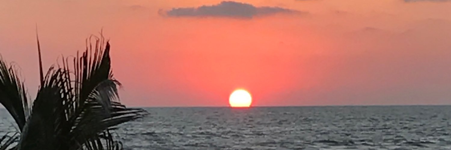 jenmelj's profile banner image