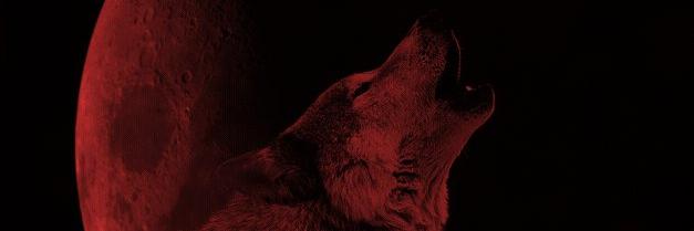 Briyja's profile banner image