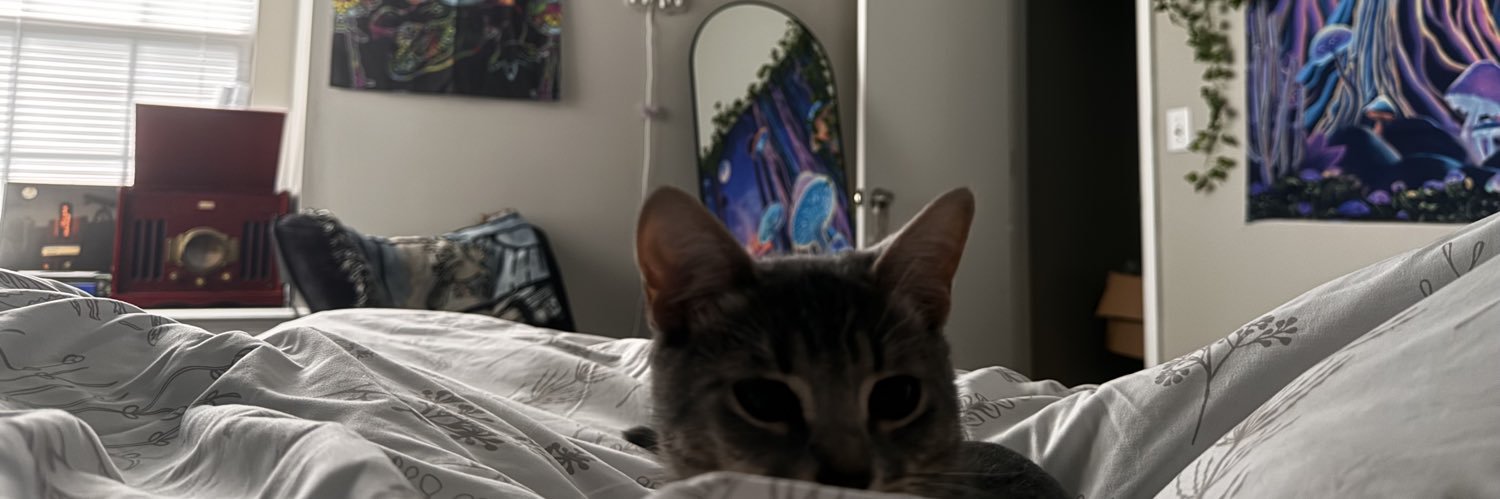 bryochebread's profile banner image