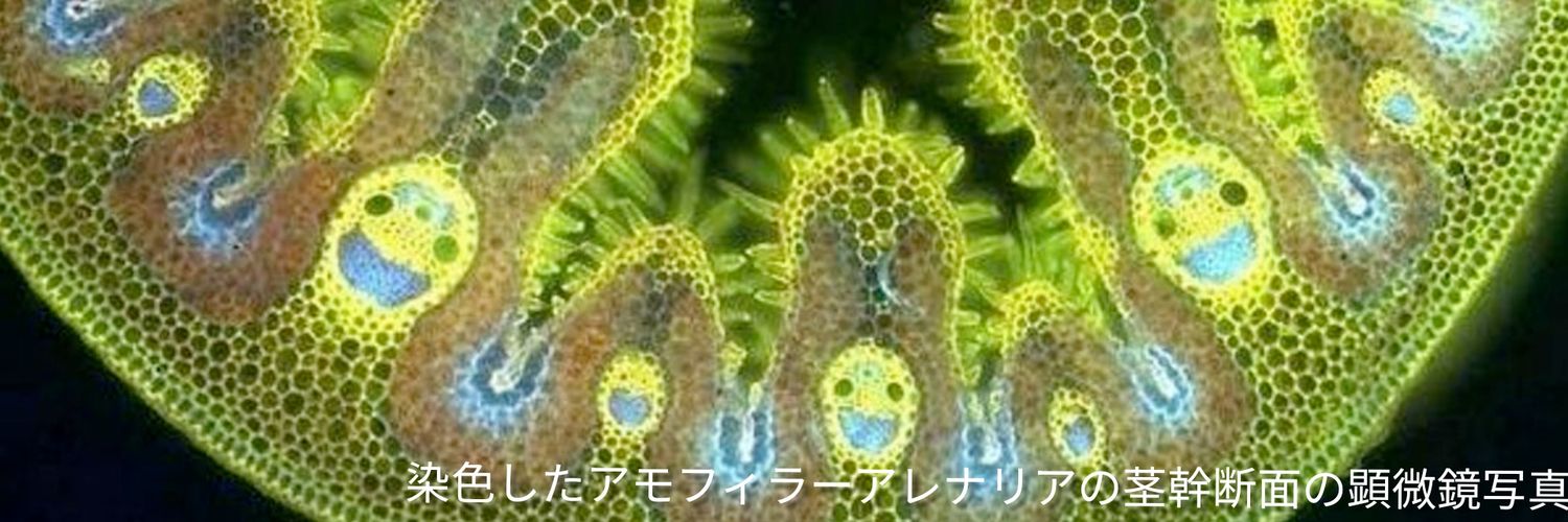 せんりはん (🐶戌人向け) banner