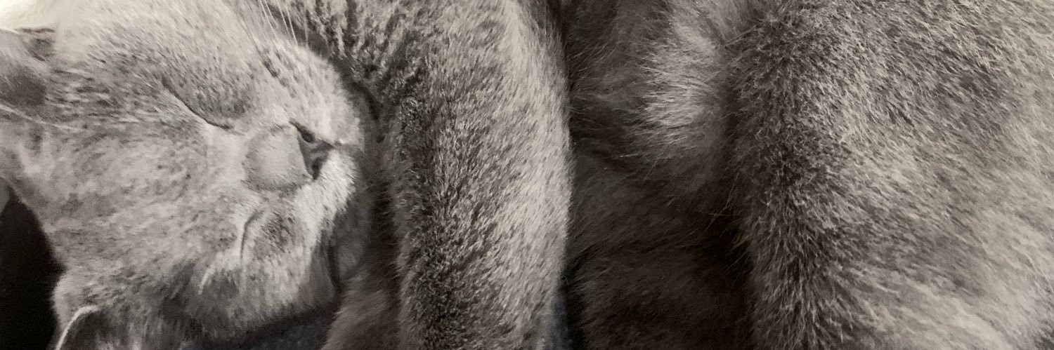 imuyuf's profile banner image