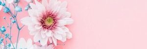 Jakieap's profile banner image