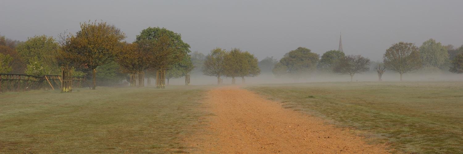 Stephen Middleton banner