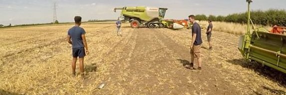 Zach Morgan🇯🇲 banner