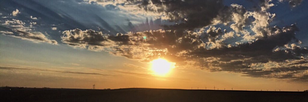 Kayla Venner banner
