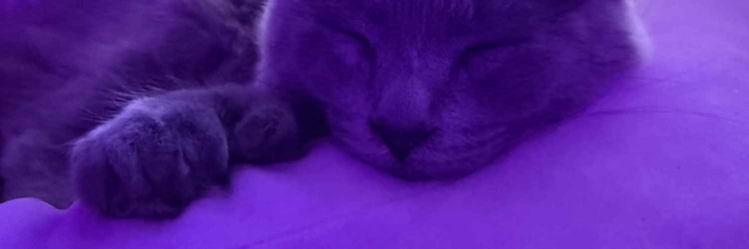 hoelessgremlin's profile banner image