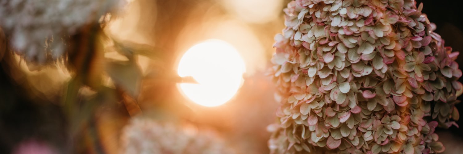 Tessa Heijmer banner