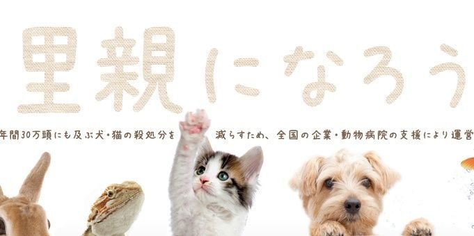 JJceeeeeez's profile banner image