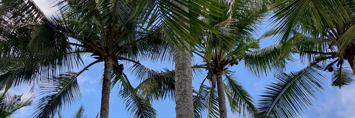 maweqt's profile banner image