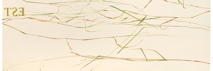 assoaperto's profile banner image