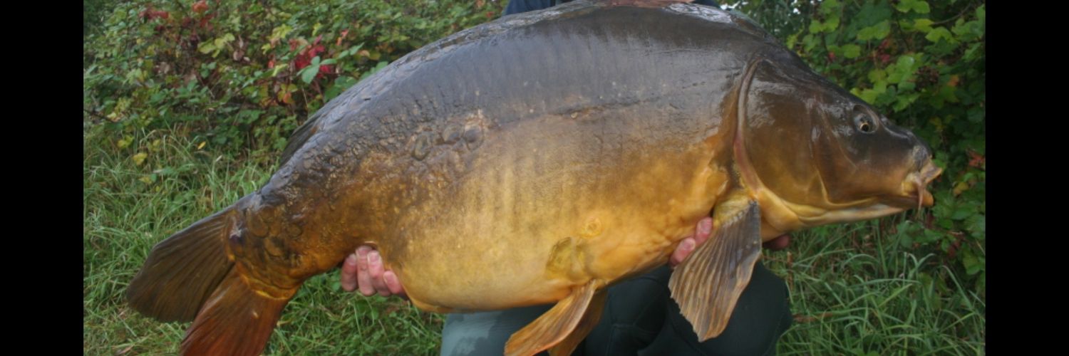 michelgorter's profile banner image