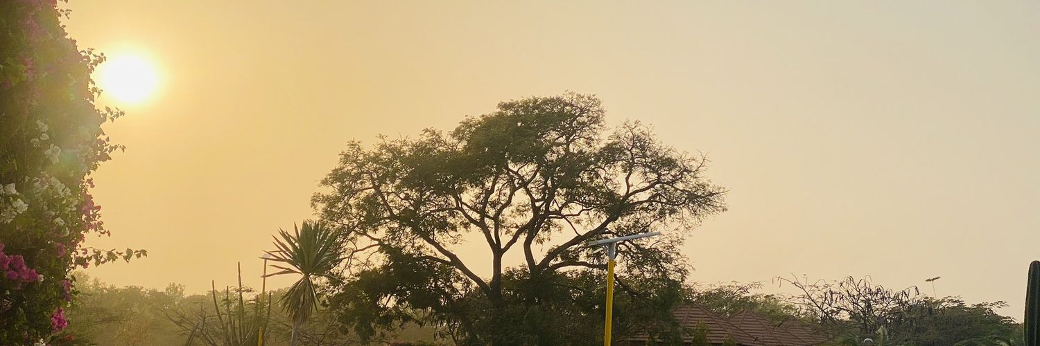 Toms 😘🌹 banner