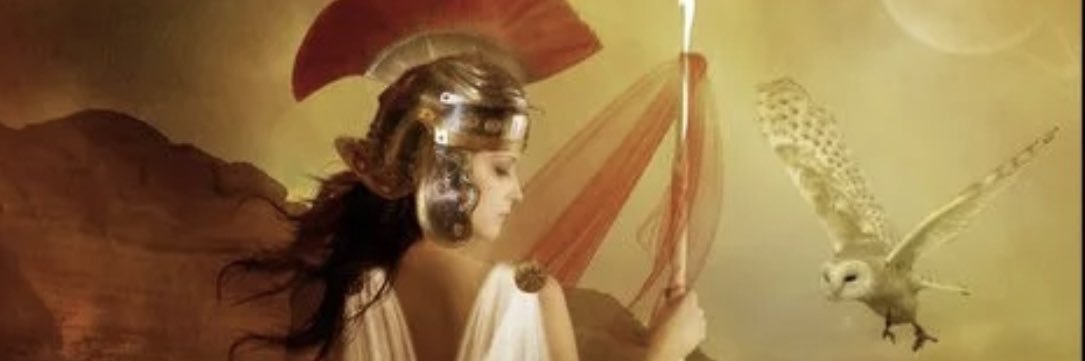 Nicola Beaumont. 🦉 banner