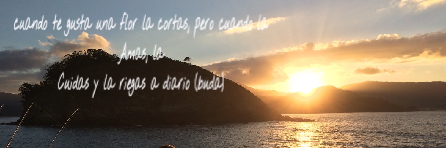 flatyeli's profile banner image