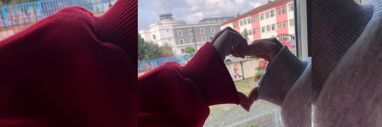 selinnmadenn's profile banner image