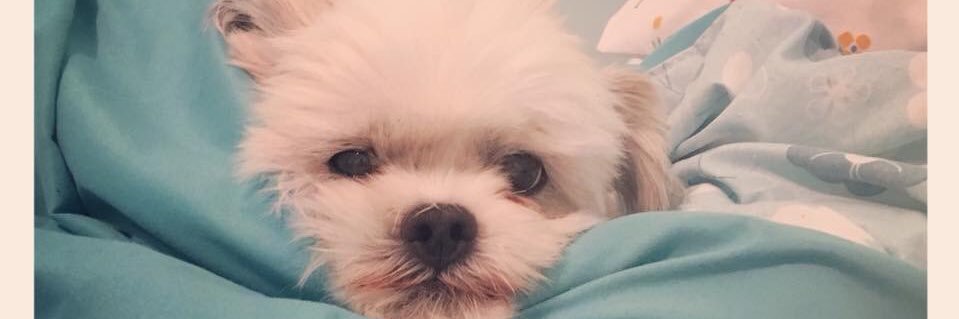 Jazminsdaddy's profile banner image