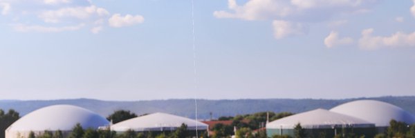 LobbyBoxer Profile Banner