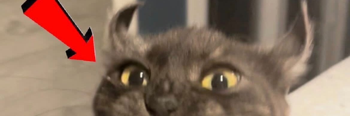 mfedrg's profile banner image