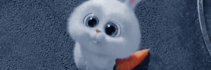 kagsnakags's profile banner image