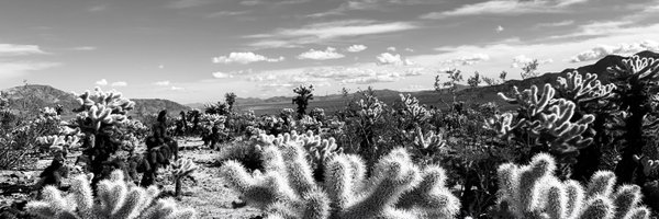 christiebx Profile Banner