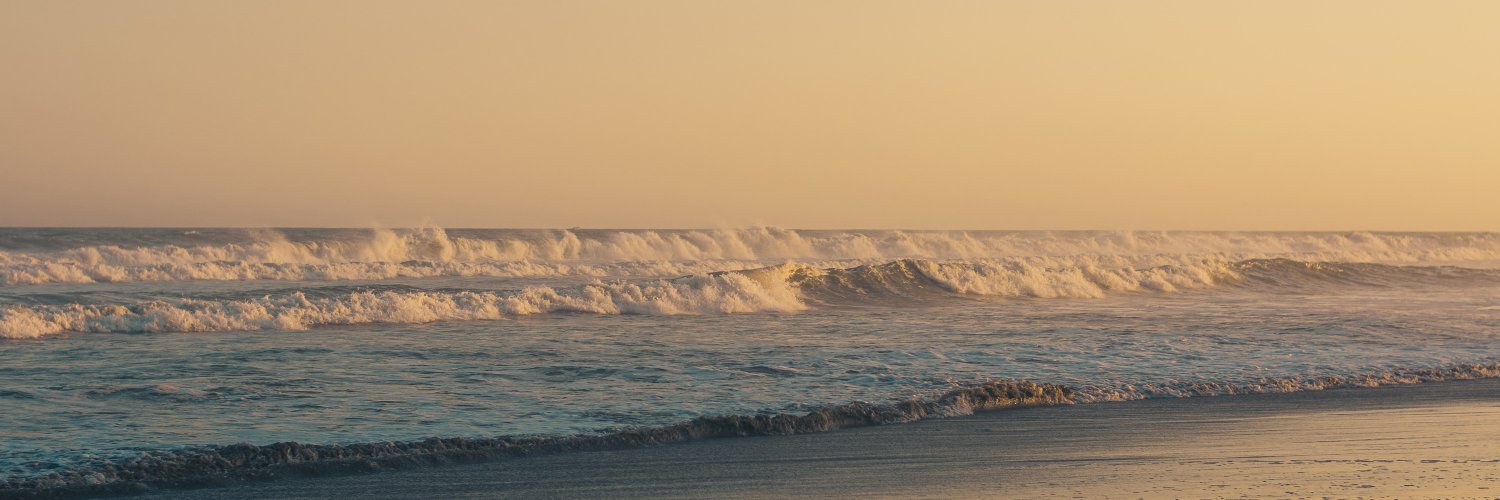 Vaughn McGrath banner