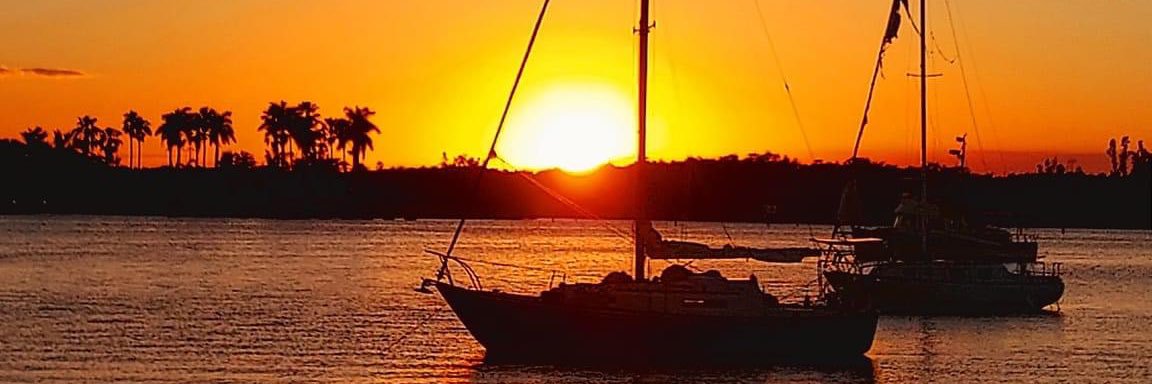 GROOT trading banner