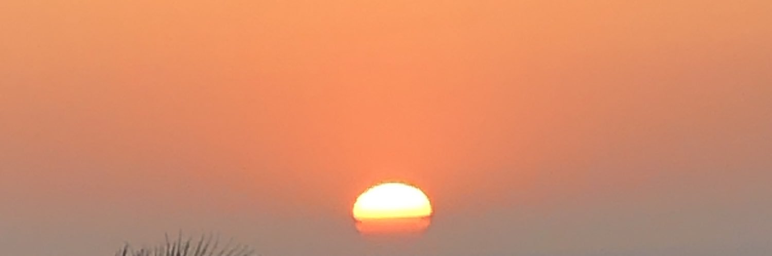 MichaelAAltieri's profile banner image