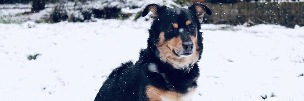 Logeezbab Profile Banner