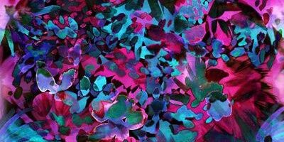 clarialbanese's profile banner image