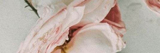i_eynNFM's profile banner image