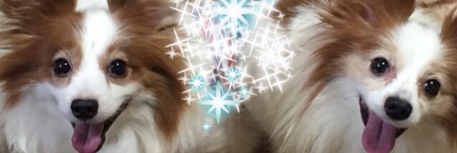 satomit3103's profile banner image