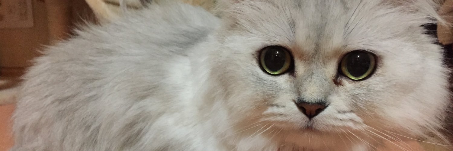 mirror831's profile banner image