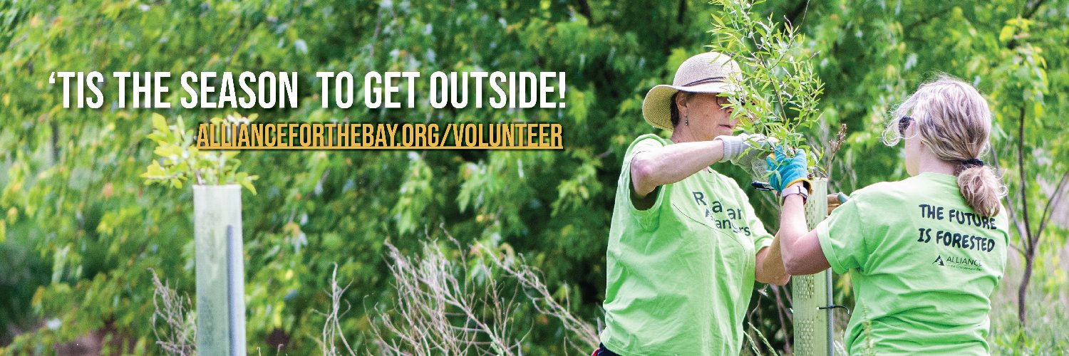 Alliance For The Bay banner