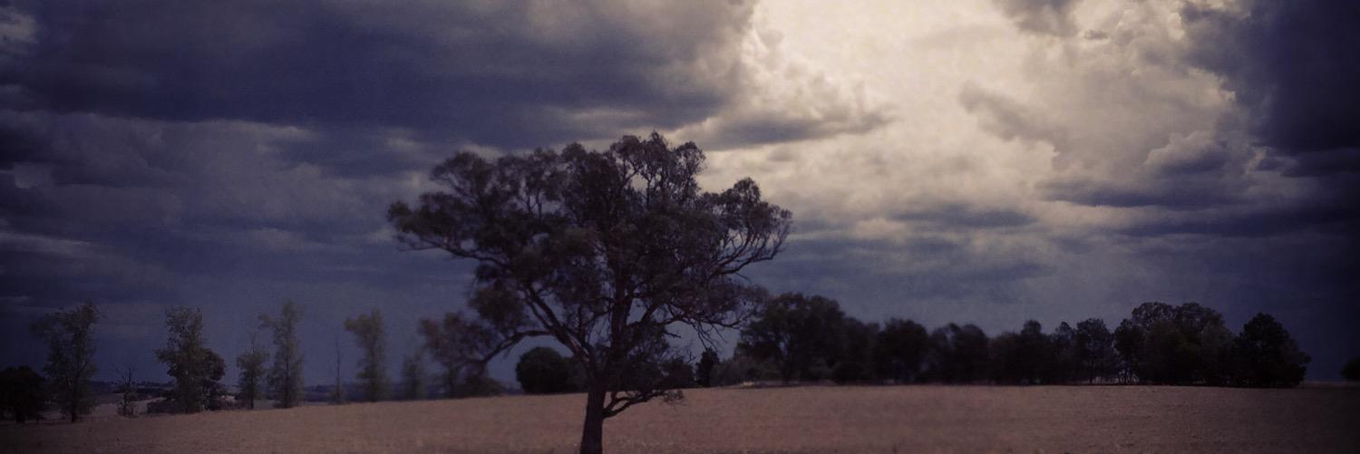 Dannielle Fisher banner