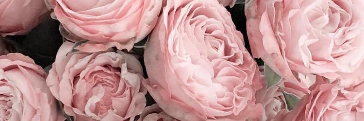 raestillwell's profile banner image