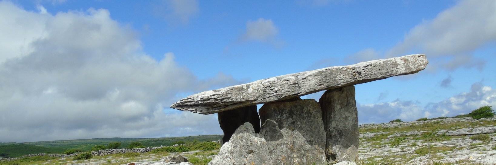 Sabrina F. Page banner