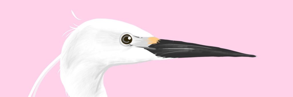 launshae's profile banner image