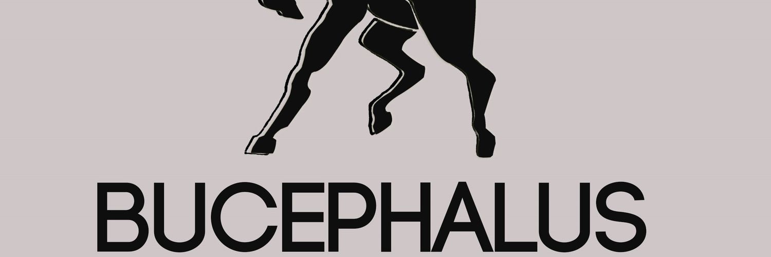 HeerdenPaul's profile banner image
