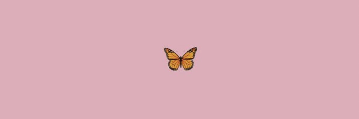 maryam__'s profile banner image