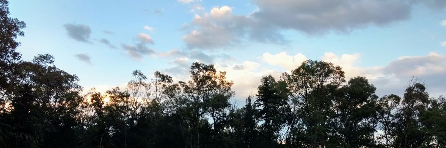 rull23's profile banner image