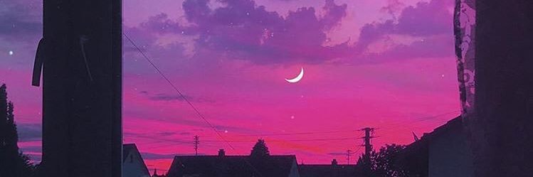 betulsarall's profile banner image