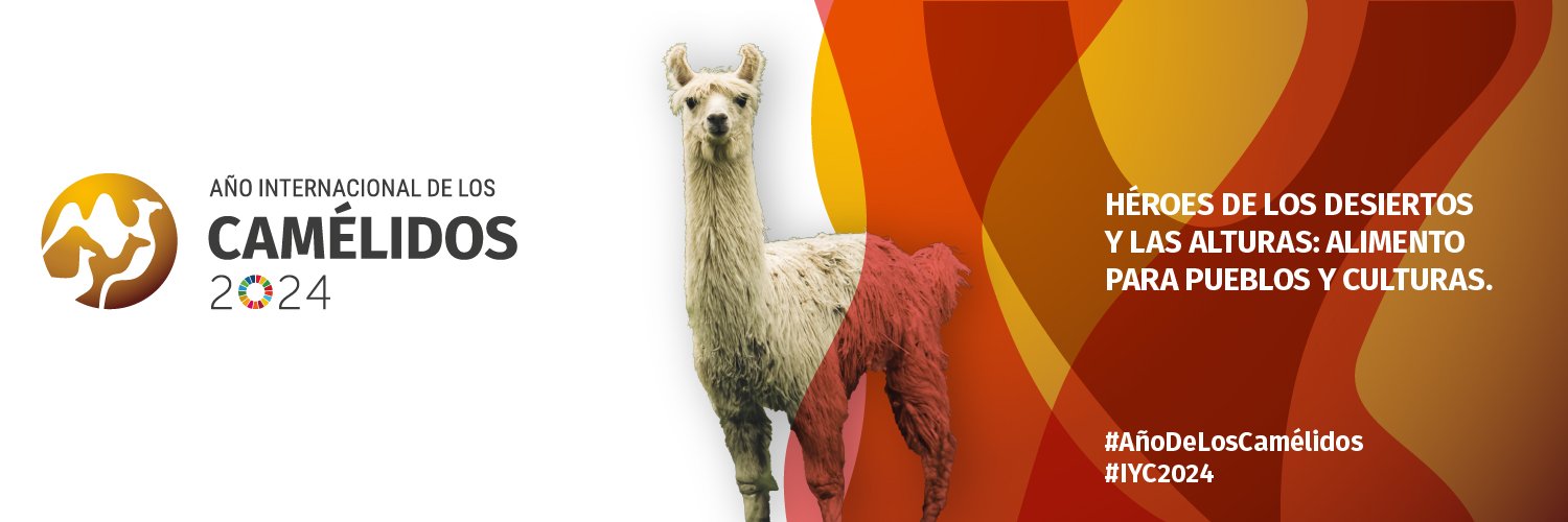 FAO en español Profile Banner