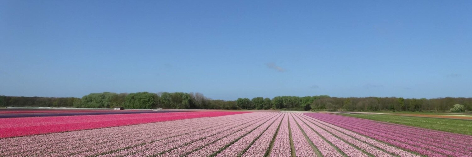 AccessibletravelNL banner