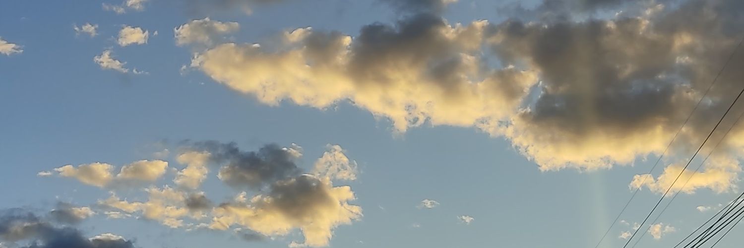 almeiddala's profile banner image